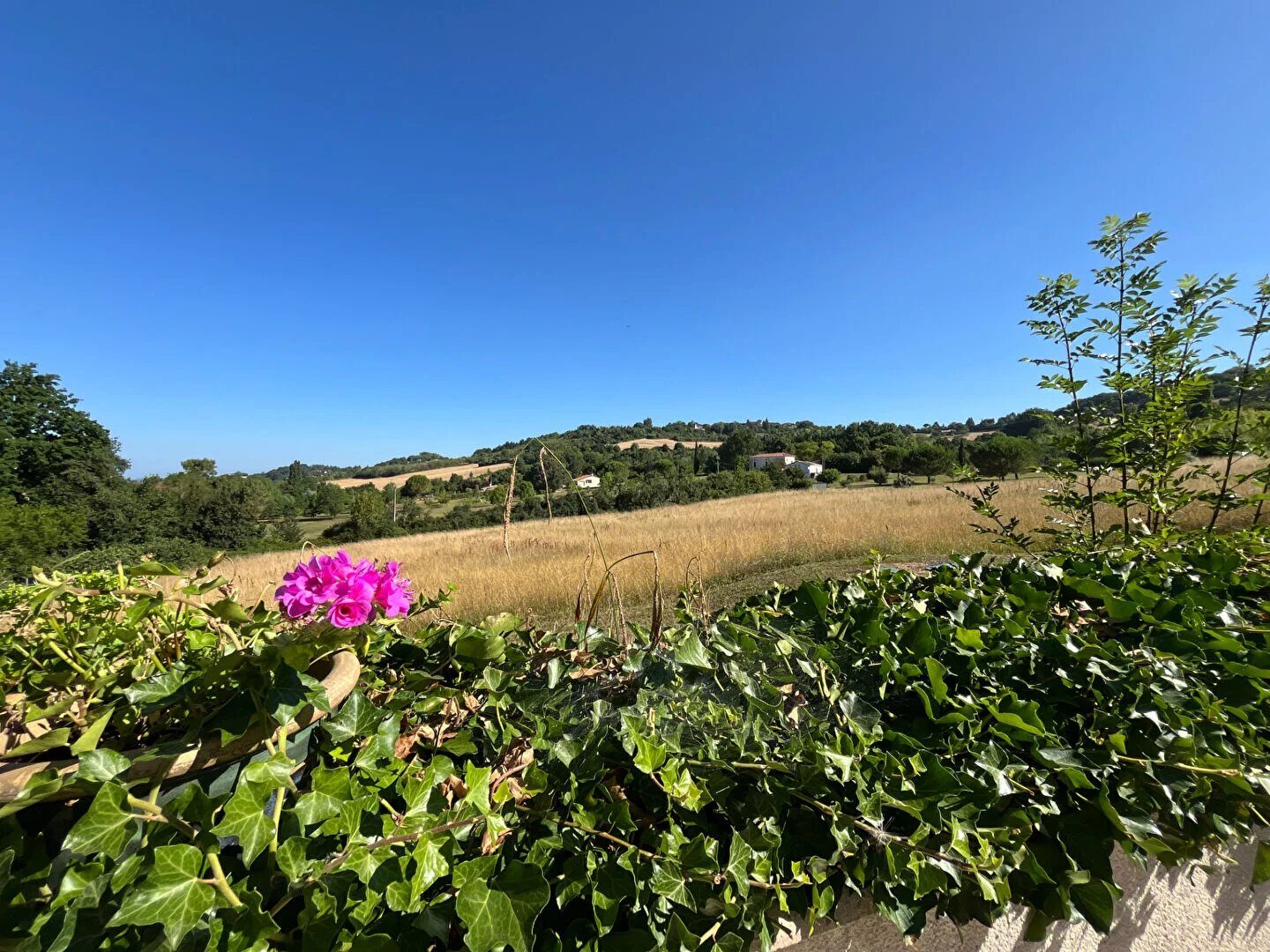 Property view 3