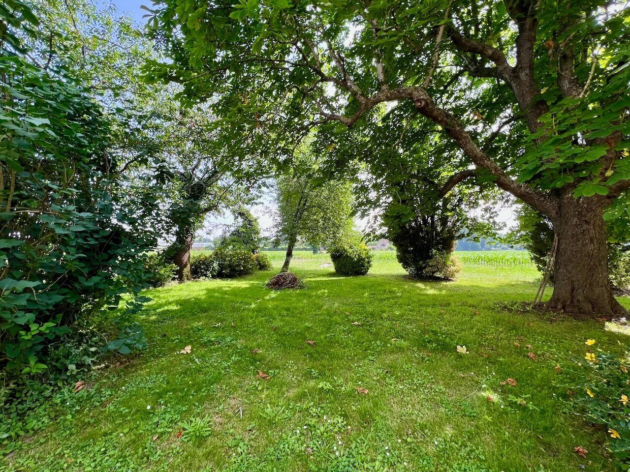 Property view 4