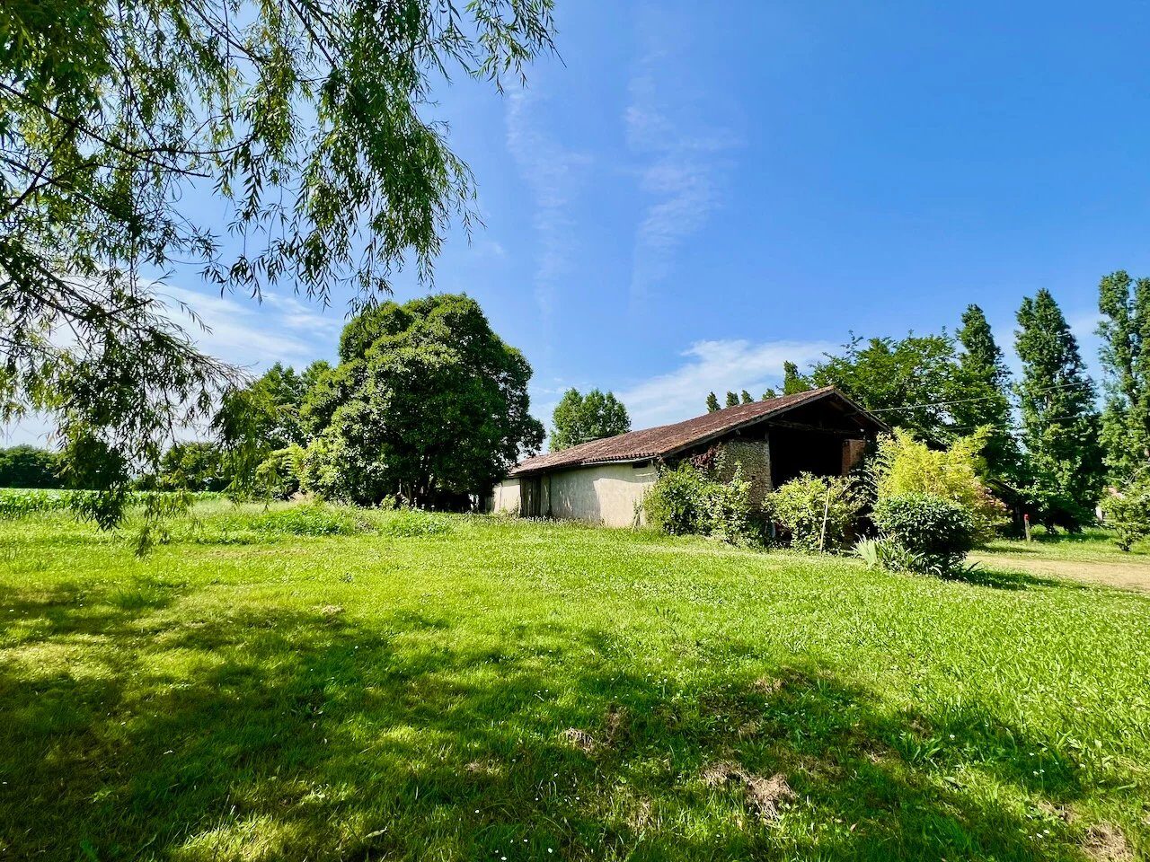 Property view 5