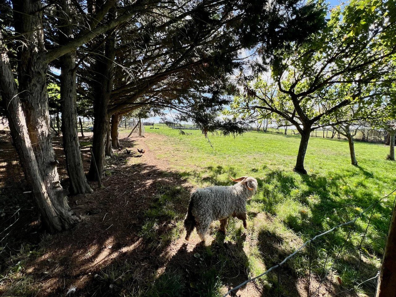 Property view 3