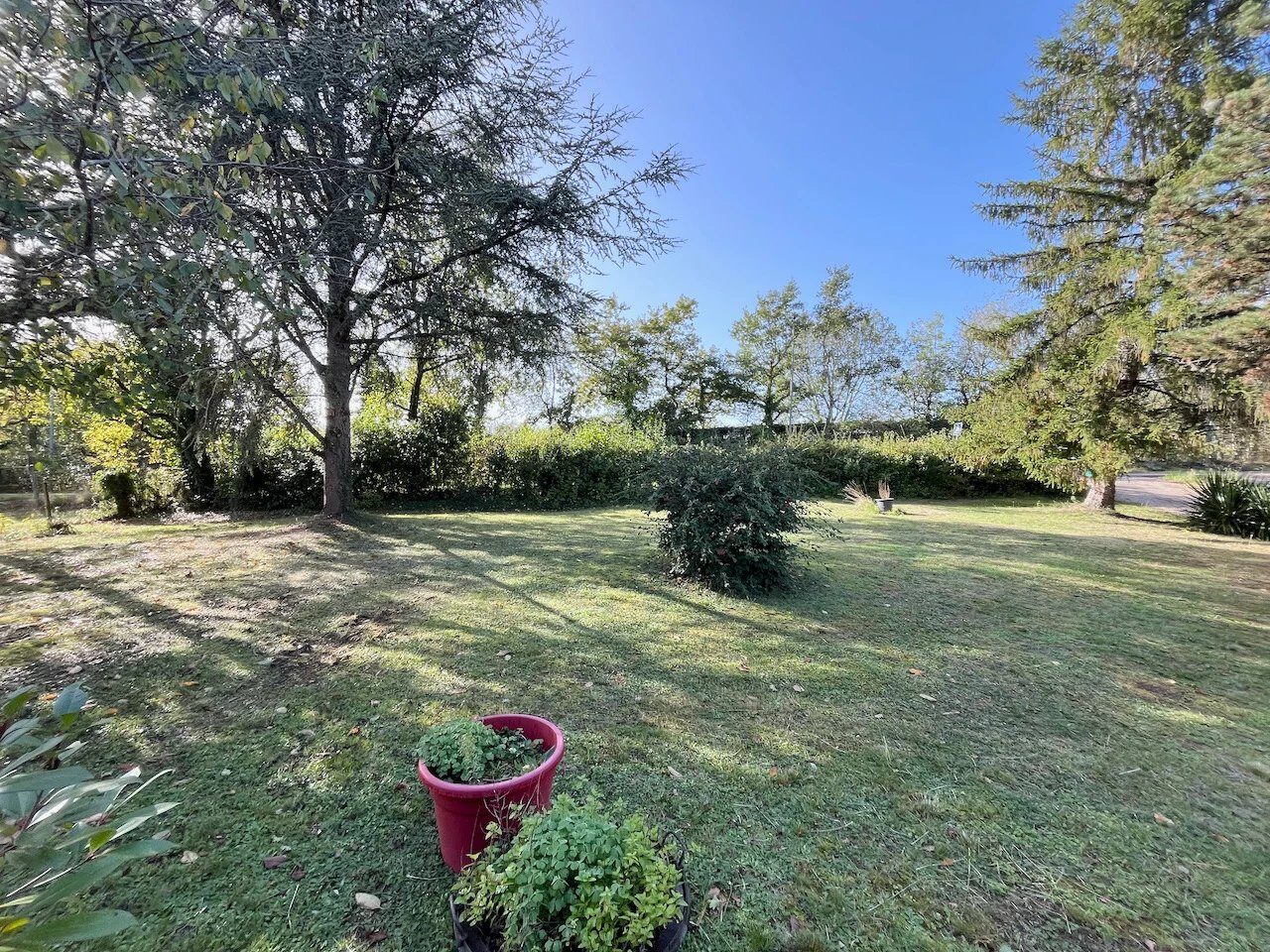 Property view 2