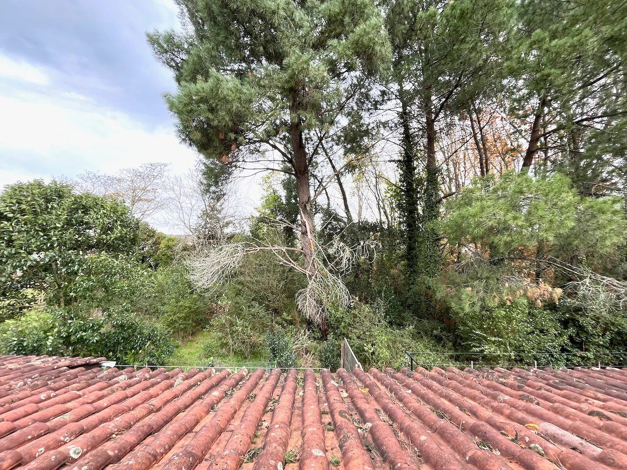 Property view 5