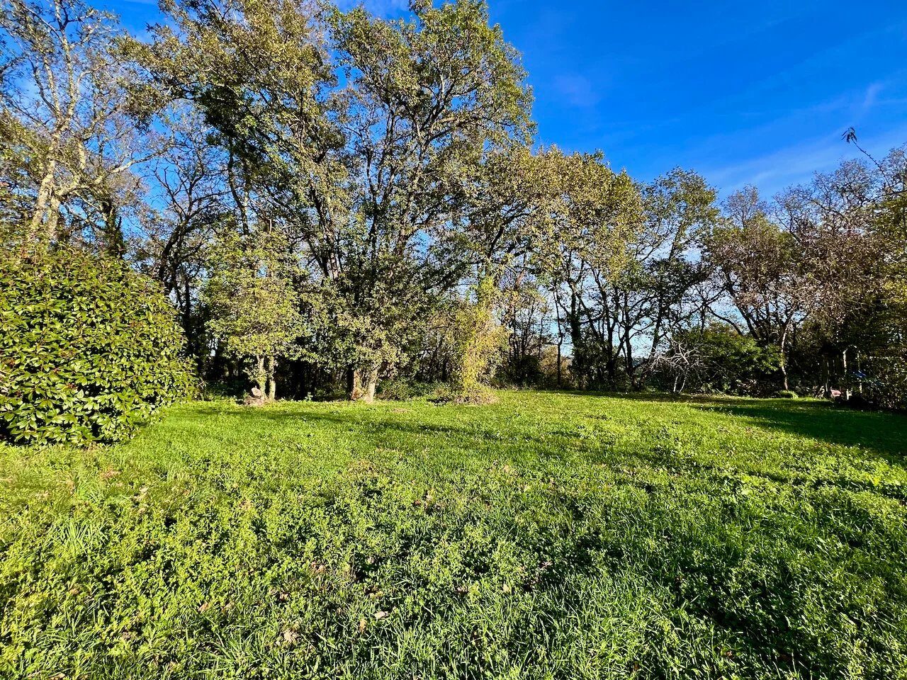 Property view 4